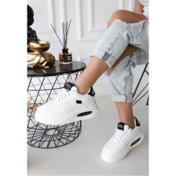 Brown bear - Vector graphics